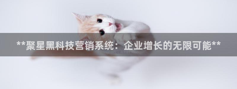 金年会网站稳不稳