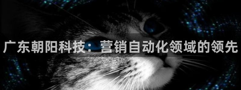 金年会体育app平台怎么样可靠吗