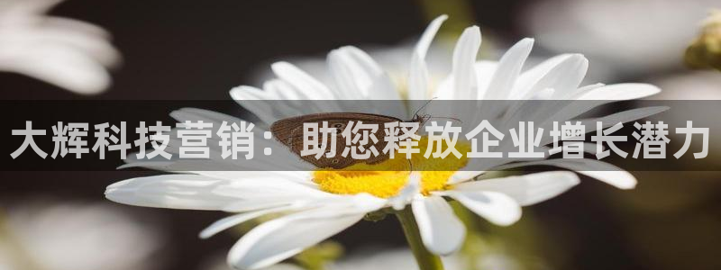 金年会官方app下载
