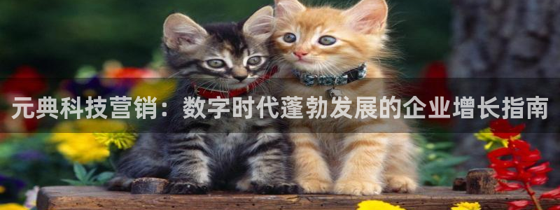 金年会网站多少