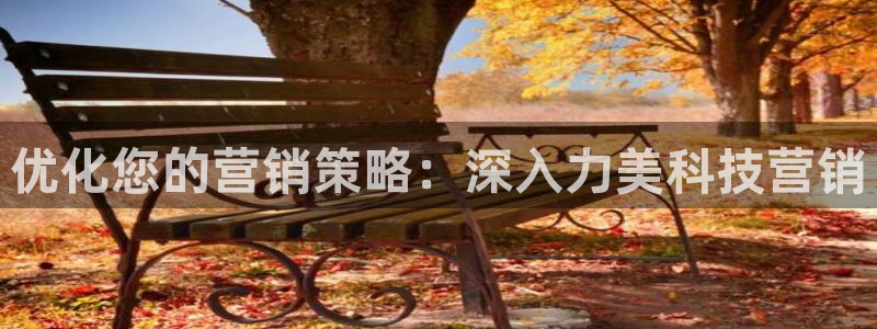 金年会体育app网页版官方入口