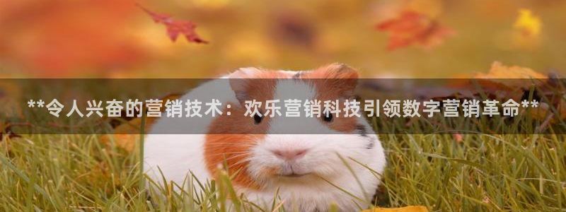 金年会体育买球app下载