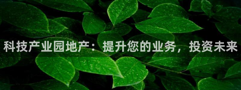 金年会信誉第一