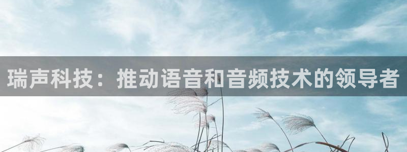 金年会官方平台官网