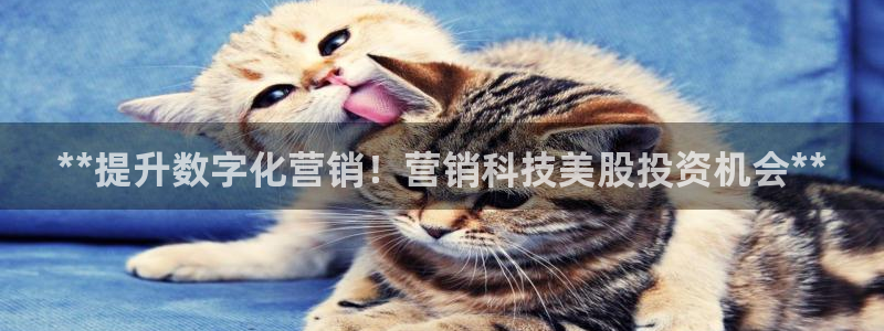 金年会官方入口首页网站
