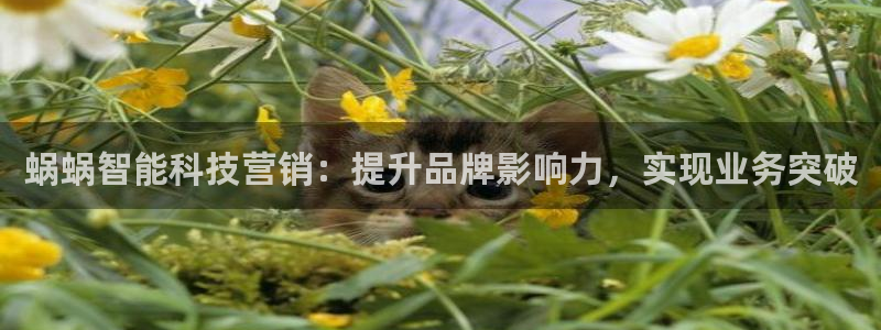 金年会官方网站入口网址