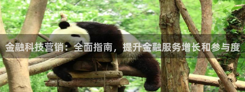 金年会信誉第一