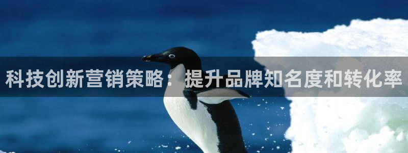 金年会手机版官方网站