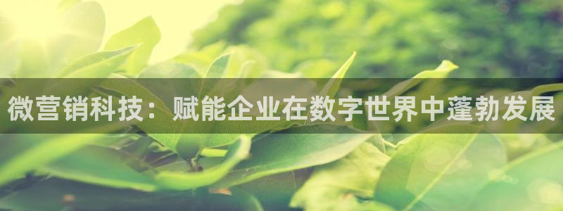 金年会金字招牌至上