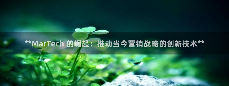 金年会体育app下载官网