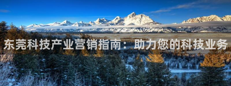 金年会在线入口2023