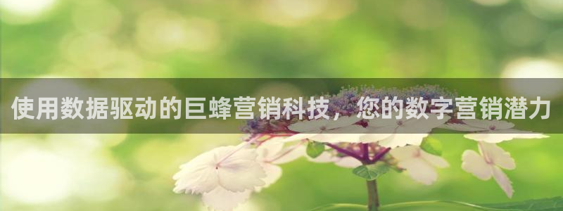 金年会APP官网下载