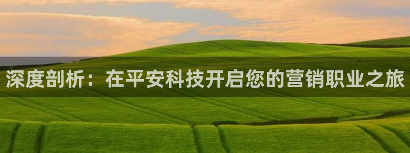 金年会体育app下载官网