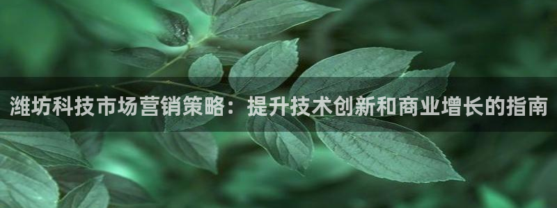 金年会体育全站