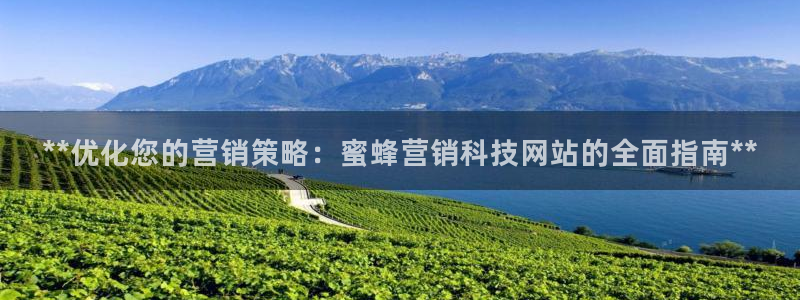 金年会体育app属于正规平台吗