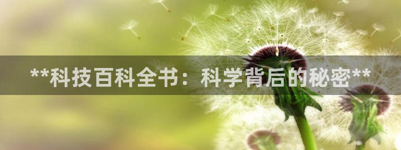 金年会体育平台怎么样