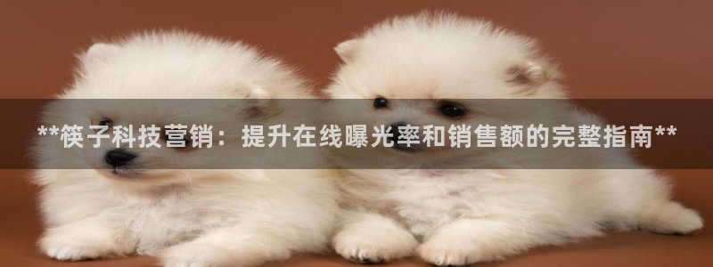 金年会网站稳不稳