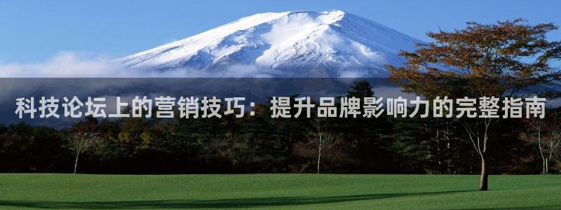 金年会官方网址查询