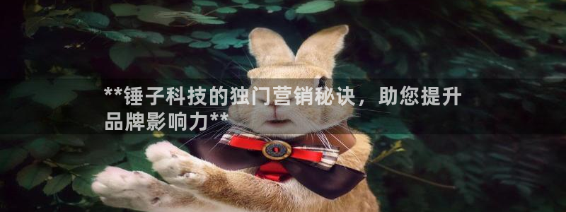 金年会体育娱乐