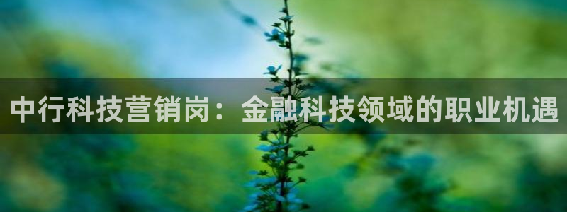 金年会体育官网