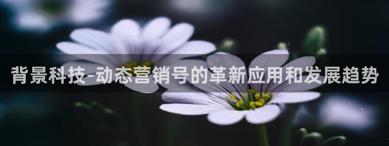 金年会app官方网站入口在哪