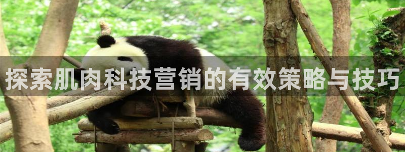 金年会电子