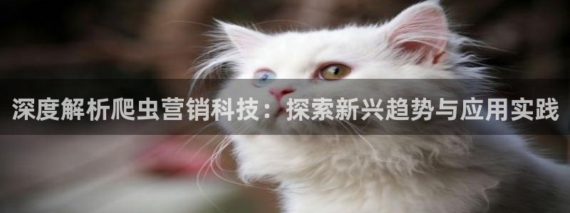 金年会pM捕鱼