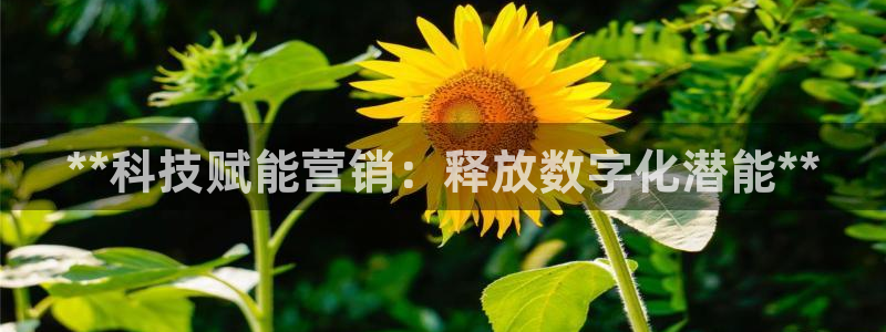金年会官方下载入口手机版