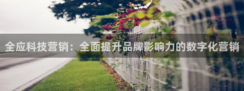 金年会体育app平台怎么样可靠吗