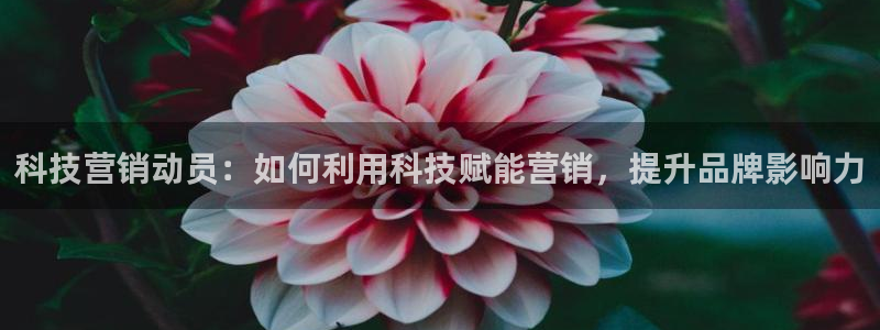 金年会体育刑事拘留常见