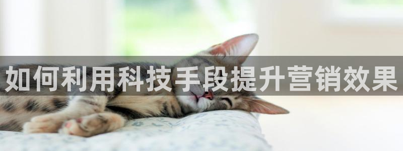 金年会体育手机app下载官网苹果