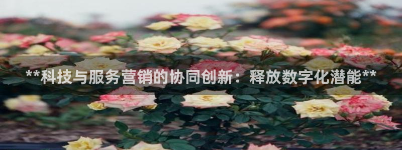 jinnianhui金年会官网