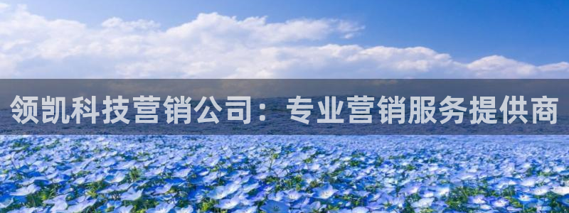 金年会官方体育登陆入口