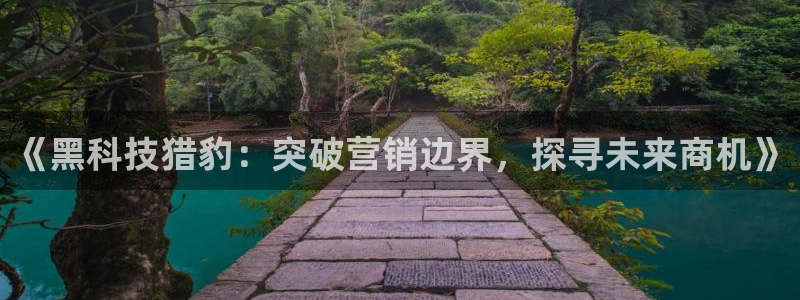 金年会是什么平台会不会提不了现