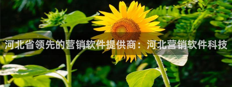 金年会官方网