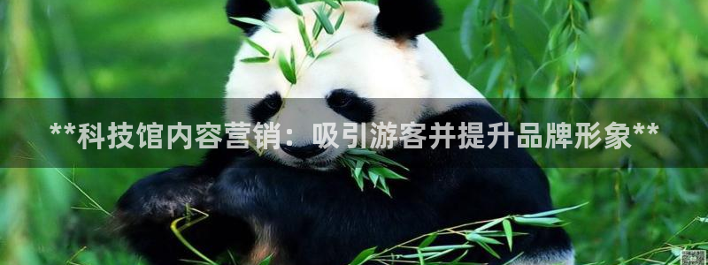 金年会vip打开网络异常怎么办
