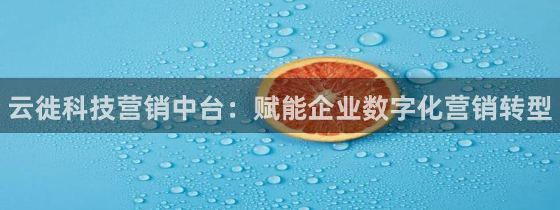 金年会官方下载入口