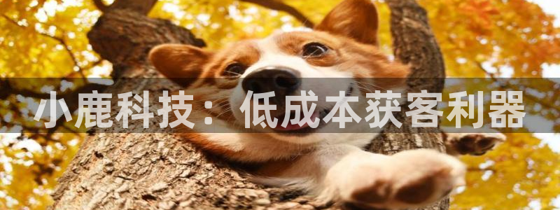 金年会体育app最新官网下载