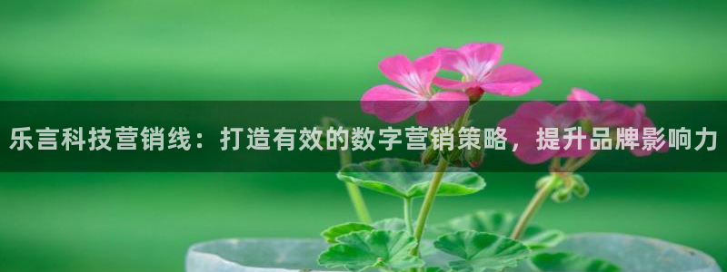 金年会体育论坛官网