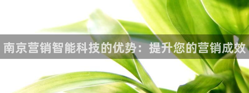 金年会ios版下载