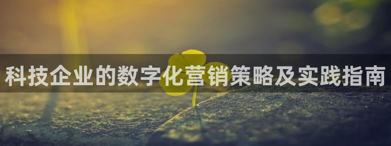 金年会体育合法吗