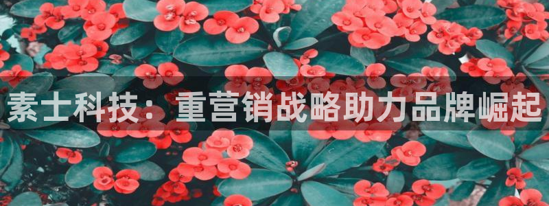 金年会pg电子官网首页
