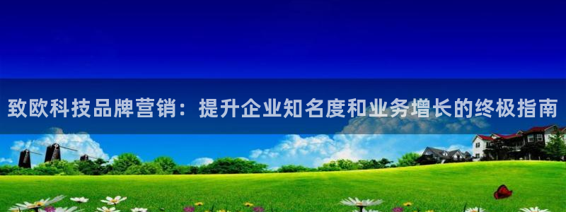 金年会电子官网下载
