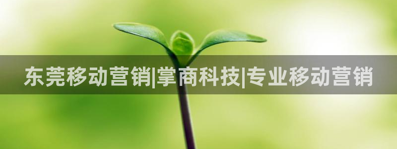金年会金字招牌诚信人口