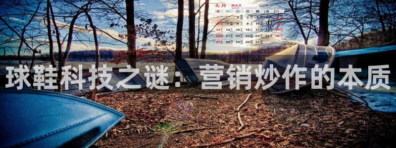 金年会体育隐藏入口