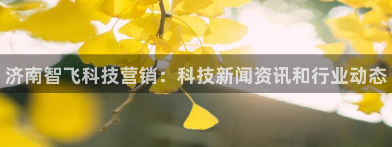 金年会金字招牌至上用了多少钱?