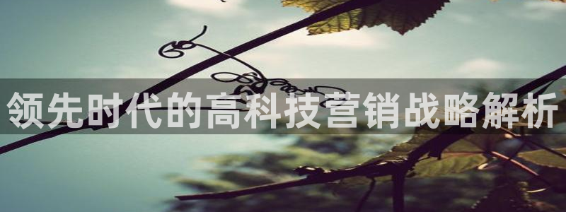 金年会手机版怎么下载
