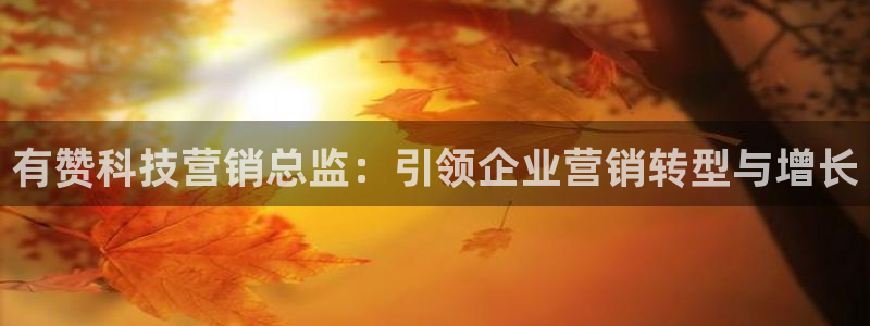 金年会体育开户