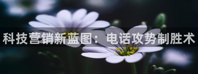 金年会官方在线入口网站