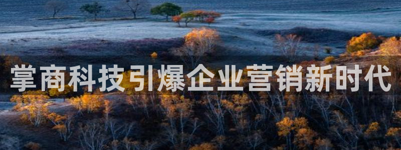 金年会体育网页版